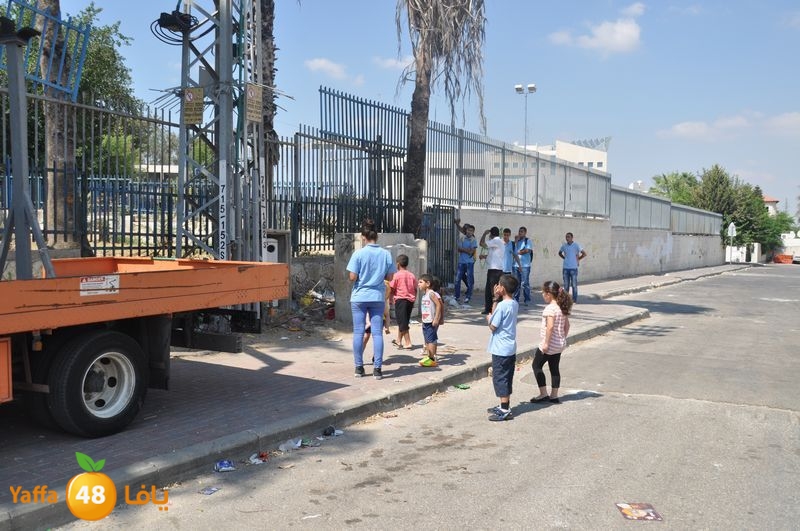 cat lud 910 (46).JPG